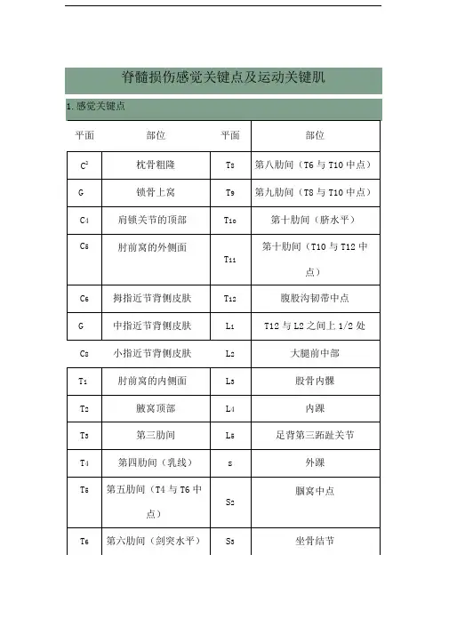 脊髓损伤感觉关键点及运动关键肌