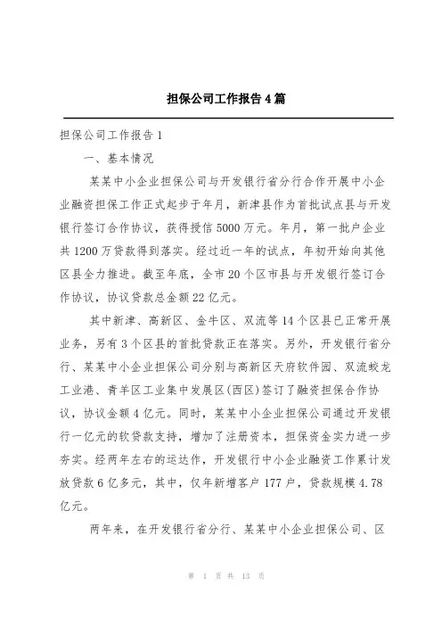 担保公司工作报告4篇