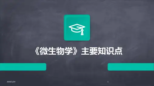 04053_《微生物学》主要知识点