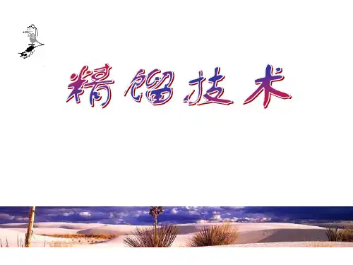 特殊精馏技术