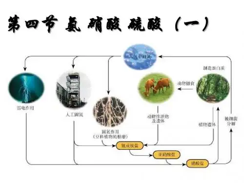 氨1PPT课件