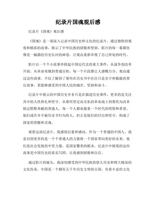 纪录片国魂观后感