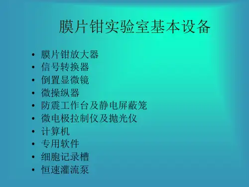 细胞电生理学与膜片钳技术ppt课件
