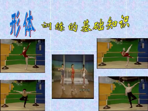 形体训练基础知识