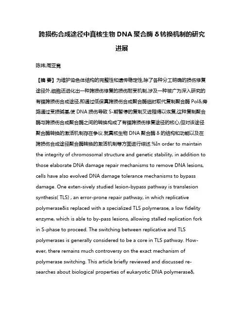 跨损伤合成途径中真核生物DNA聚合酶δ转换机制的研究进展