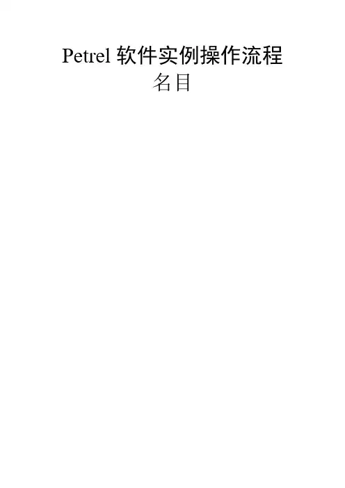 地质建模流程XXXX