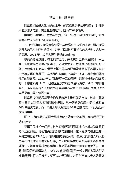 基因工程--胰岛素