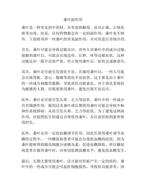 桑叶副作用