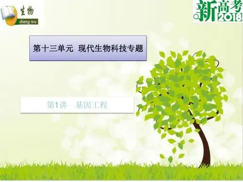 2018高考生物(全国卷 地区专用)总复习课件：第十三单元 第1讲 基因工程