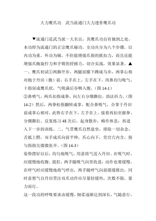 大力鹰爪功  武当流通门大力透骨鹰爪功