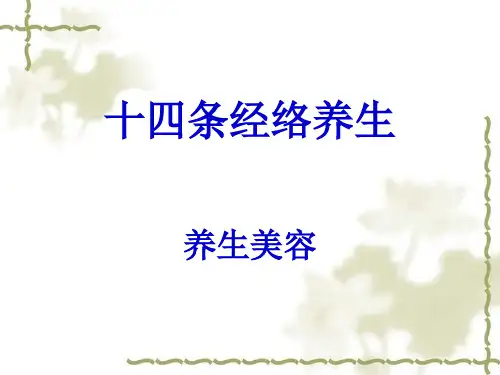 十四条经络养生.ppt