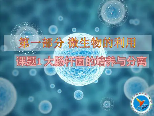 浙科版高中生物选修一 第一部分 实验1 大肠杆菌的培养和分离(共15张PPT)精品课件