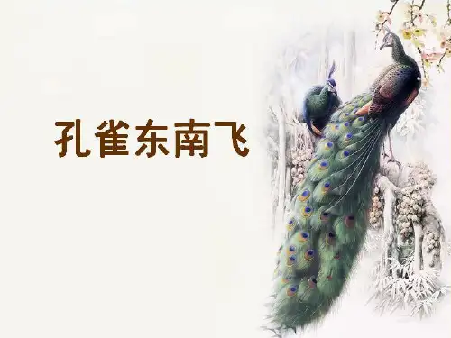 孔雀东南飞概述