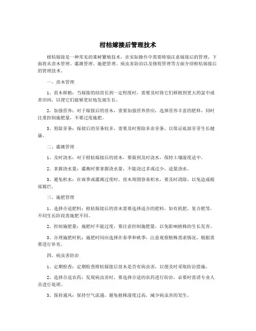 柑桔嫁接后管理技术