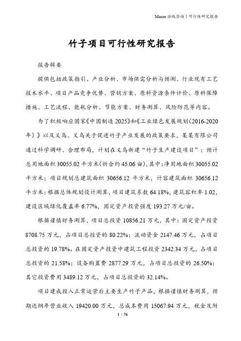 竹子项目可行性研究报告