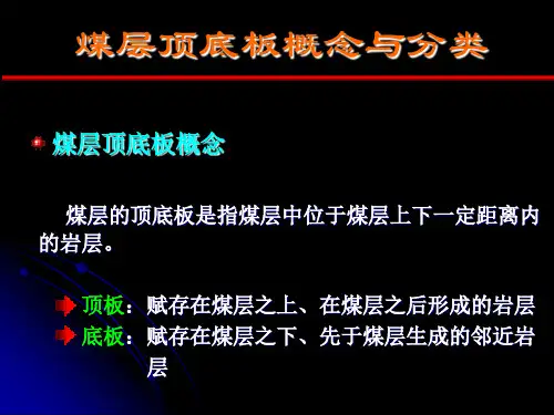 煤层顶底板分类