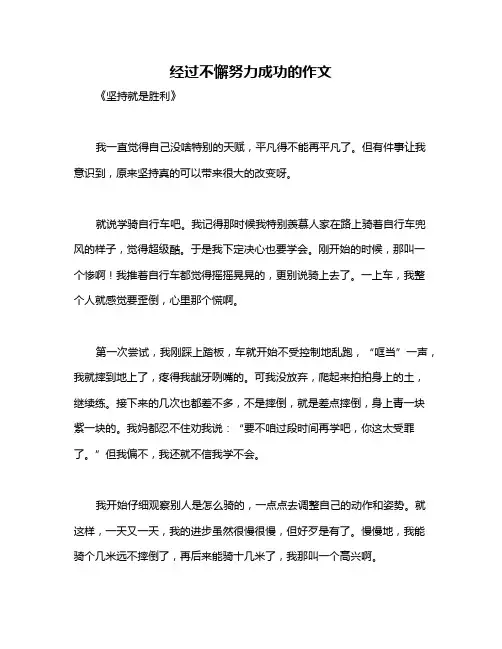 经过不懈努力成功的作文