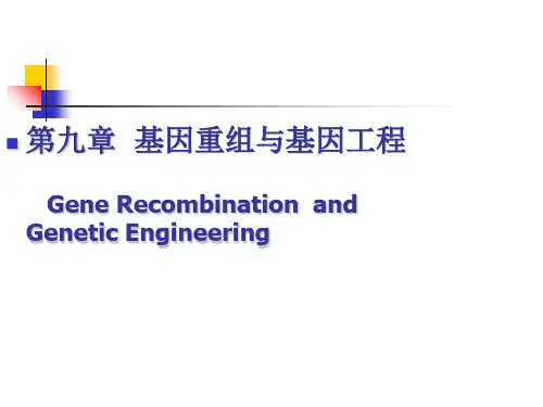 第九章基因工程-PowerPoint演示文稿共41页