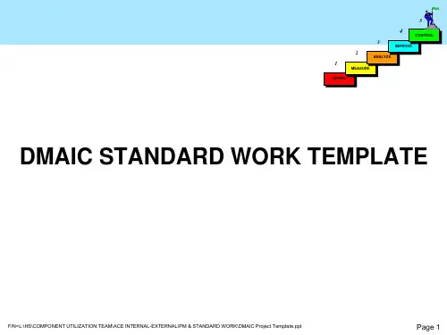 Six Sigma Project Template六西格玛报告模板