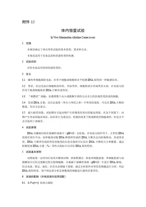 体内彗星试验