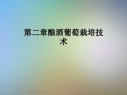第二章酿酒葡萄栽培技术