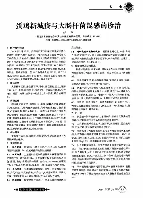 蛋鸡新城疫与大肠杆菌混感的诊治