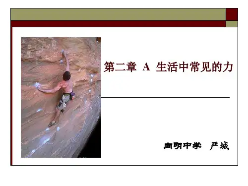 第二章A 生活中常见的力