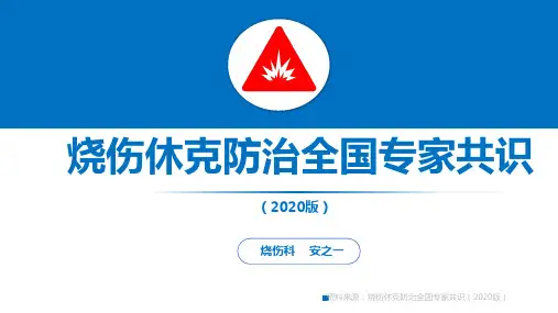 烧伤休克防治全国专家共识(2020版) 