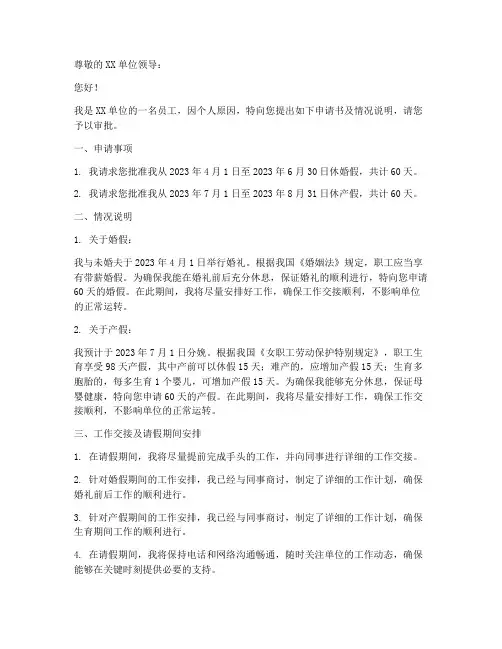申请书及情况说明范文模板