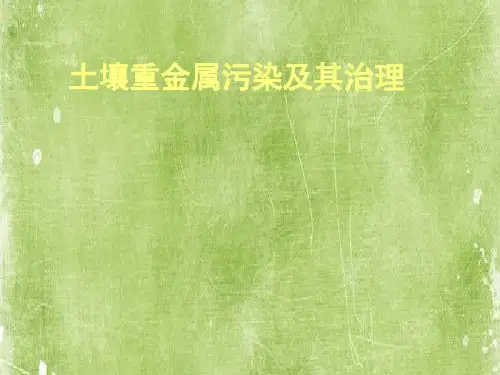 土壤重金属污染及治理 PPT