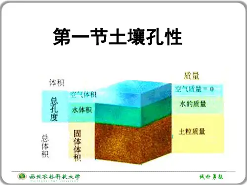 土壤孔性、结构性和耕性资料
