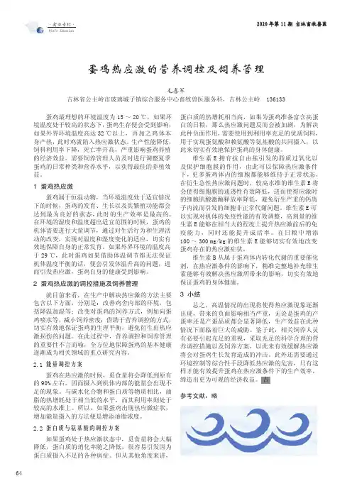 蛋鸡热应激的营养调控及饲养管理