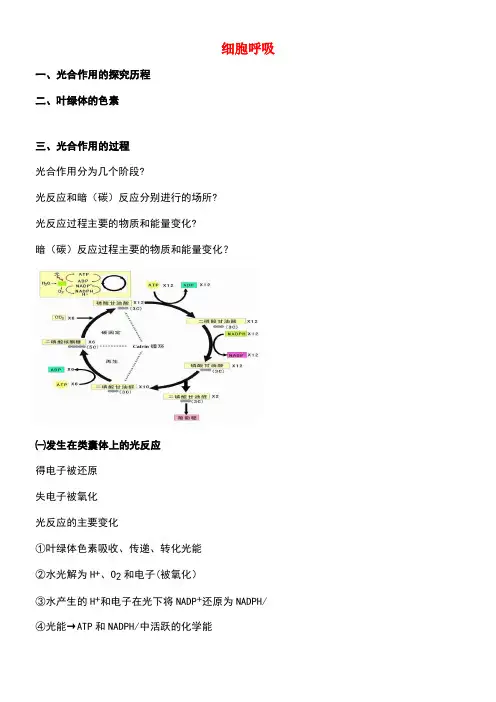 北京市第四中学高考生物专题复习6光合作用(二)光合作用原理及应用学案