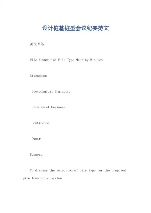 设计桩基桩型会议纪要范文