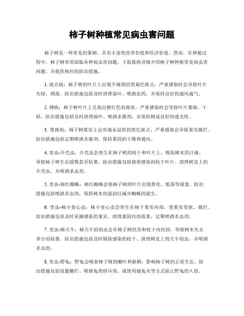 柿子树种植常见病虫害问题