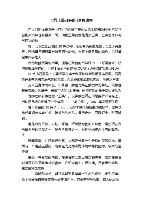 世界上最丑陋的20种动物