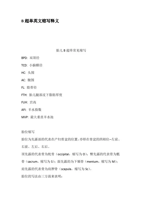 B超单英文缩写释义