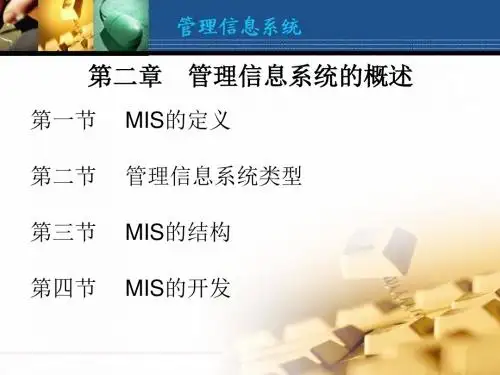 第二章MIS概述.