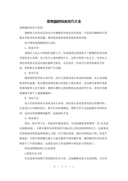 宠物猫的饲养技巧大全
