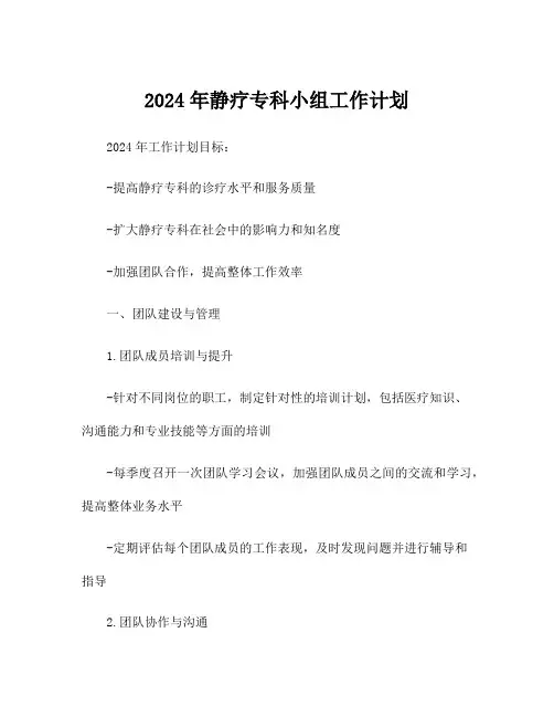 2024年静疗专科小组工作计划