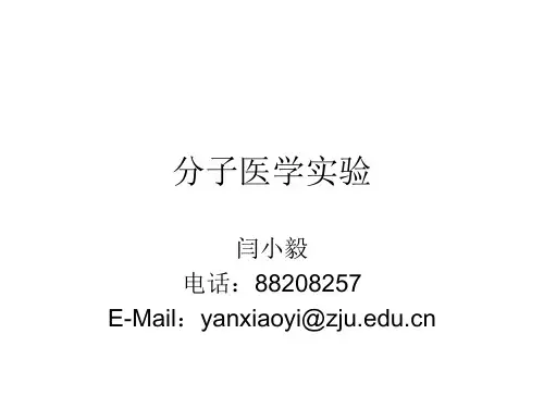 人类外周血染色体标本制备及核型分析