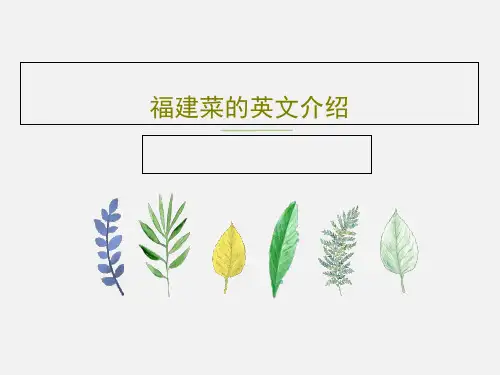 福建菜的英文介绍PPT共17页