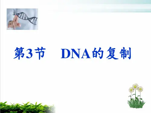 【新教材】人教版高中生物DNA的复制PPT优秀课件1