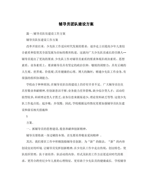 辅导员团队建设方案