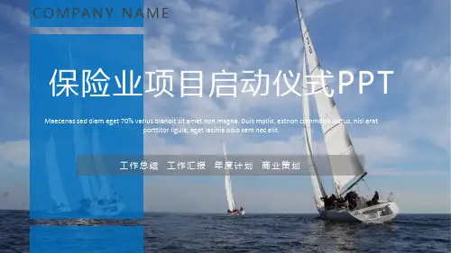 保险业项目启动仪式介绍PPT模板