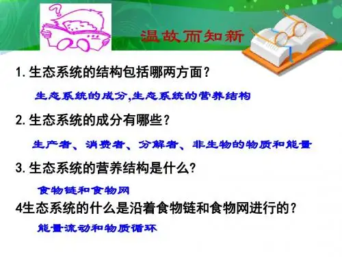5.2  生态系统的能量流动