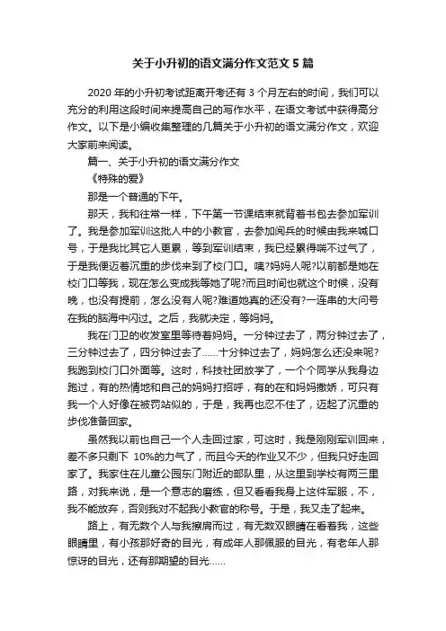 关于小升初的语文满分作文范文5篇