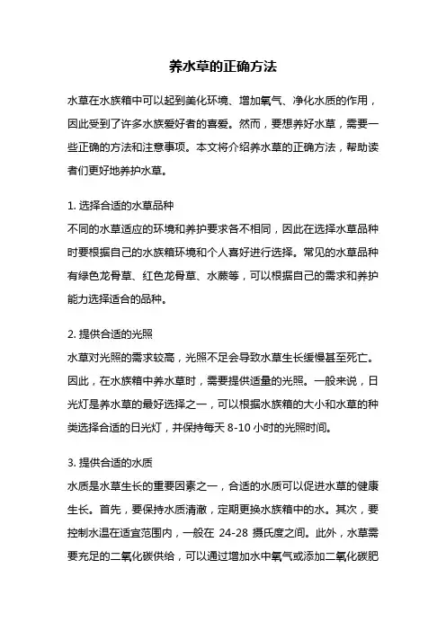 养水草的正确方法