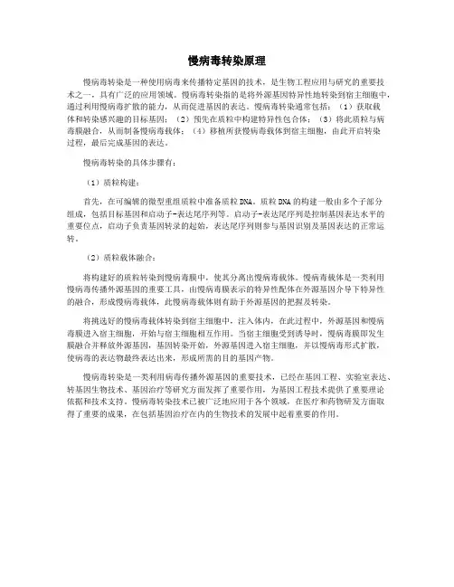 慢病毒转染原理