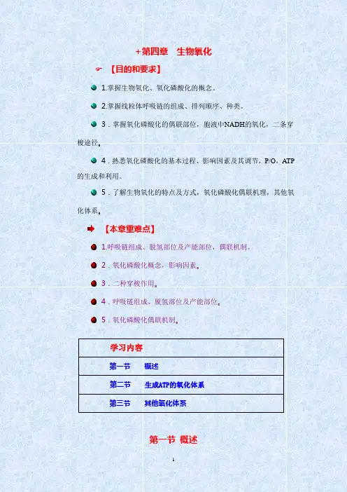 生物化学讲义第四章生物氧化